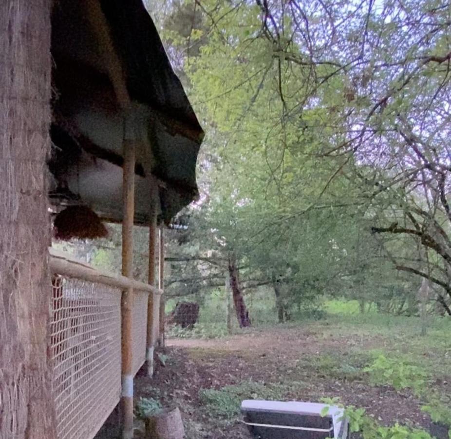 Ecolodge Beauregard Treigny Εξωτερικό φωτογραφία