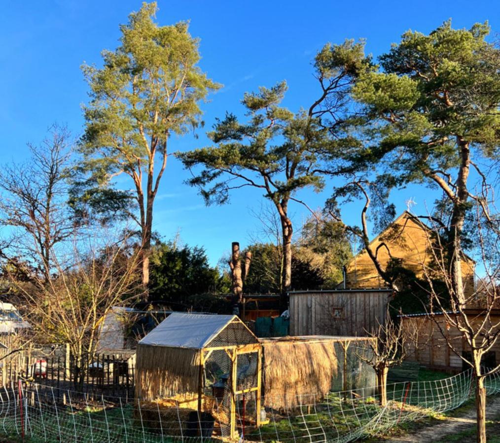 Ecolodge Beauregard Treigny Εξωτερικό φωτογραφία