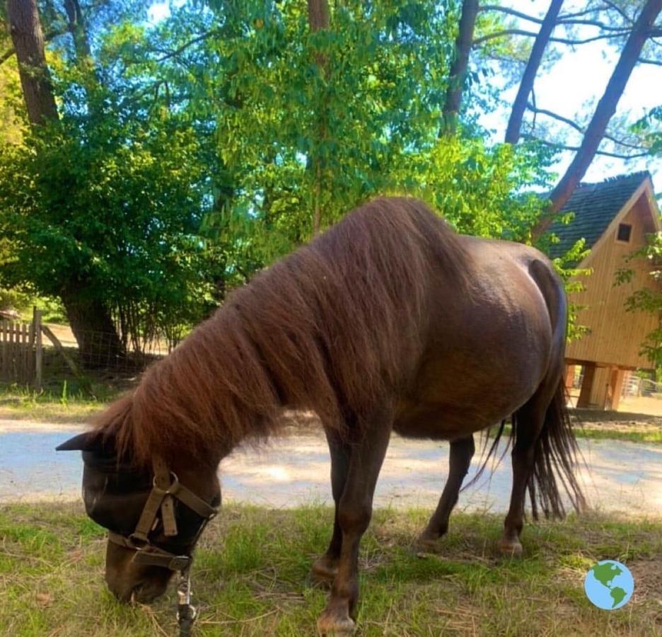Ecolodge Beauregard Treigny Εξωτερικό φωτογραφία