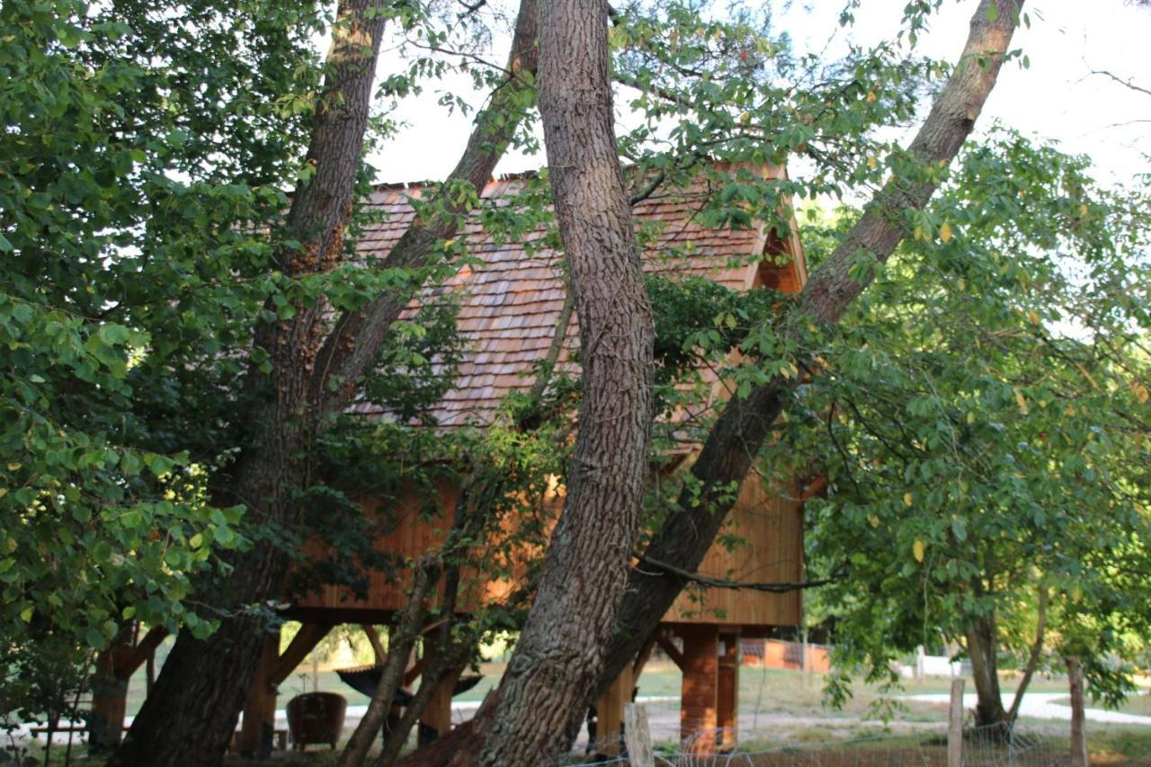 Ecolodge Beauregard Treigny Εξωτερικό φωτογραφία