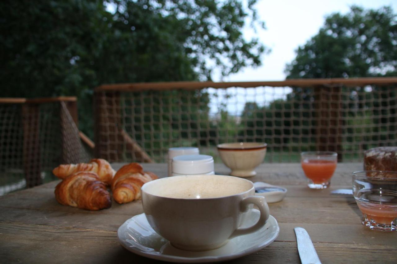Ecolodge Beauregard Treigny Εξωτερικό φωτογραφία