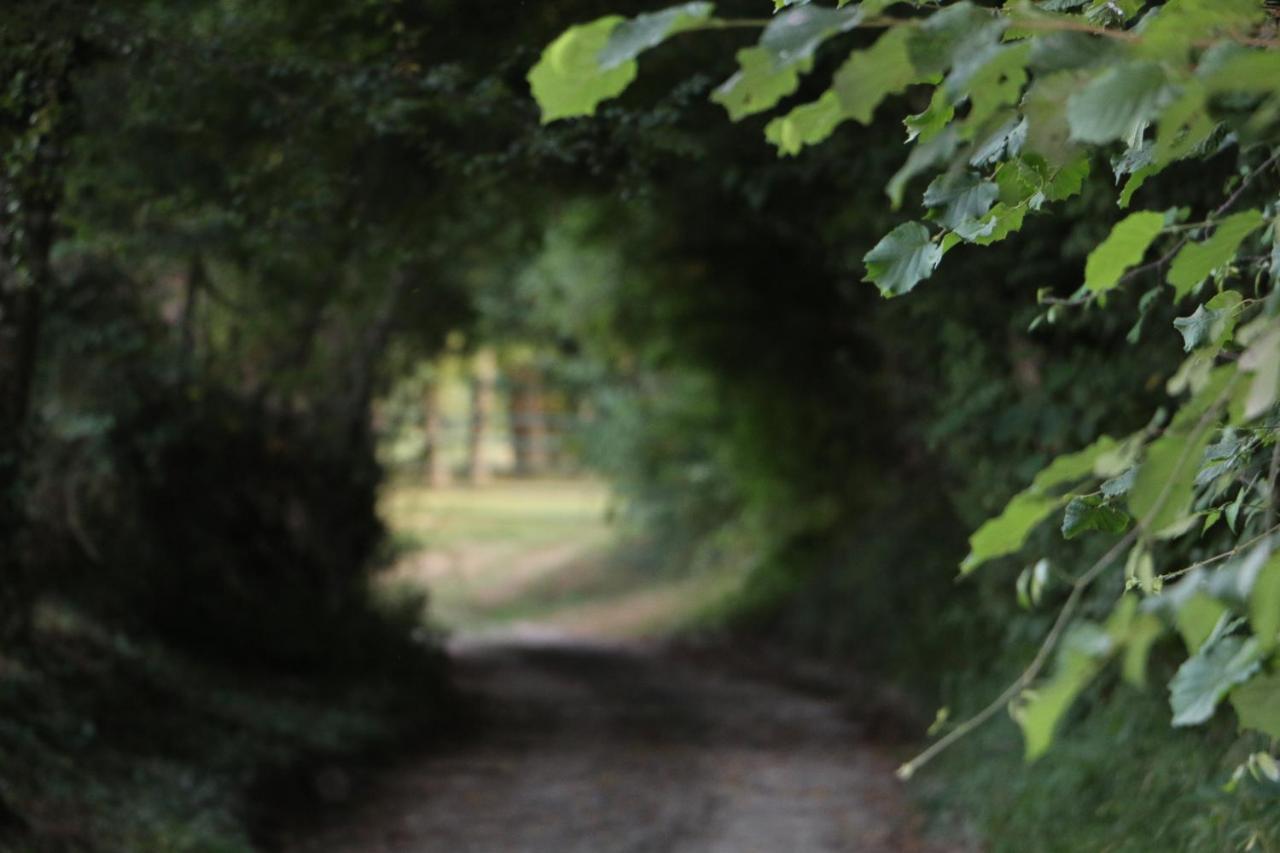 Ecolodge Beauregard Treigny Εξωτερικό φωτογραφία