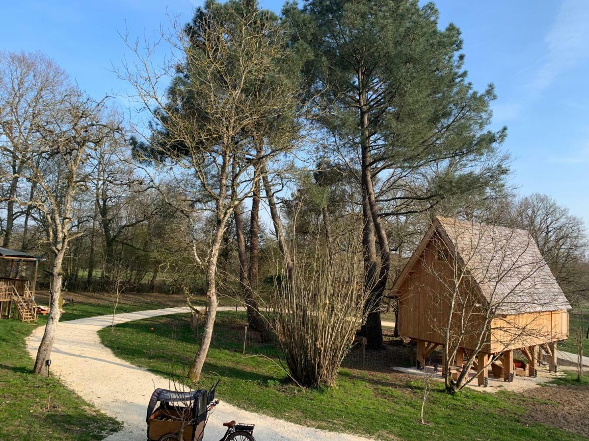 Ecolodge Beauregard Treigny Εξωτερικό φωτογραφία