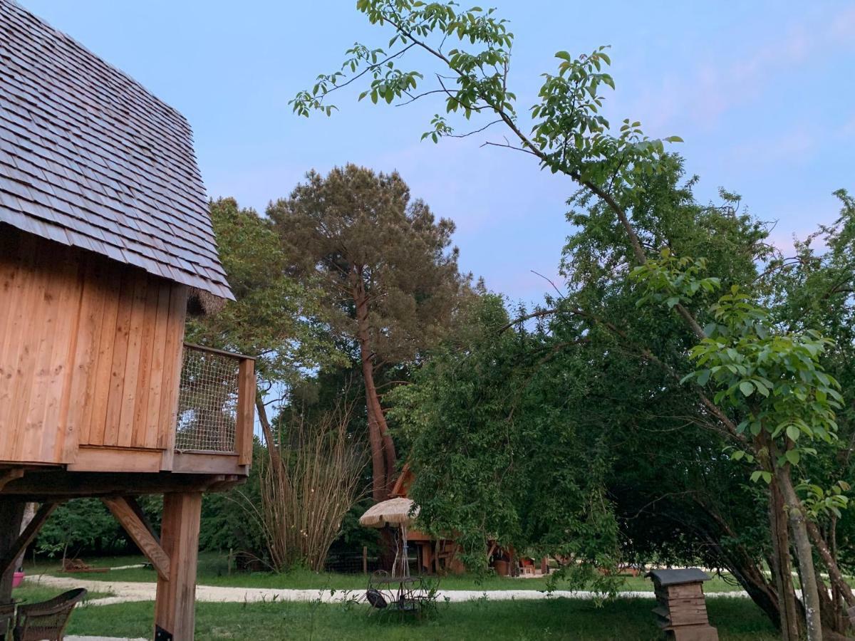 Ecolodge Beauregard Treigny Εξωτερικό φωτογραφία