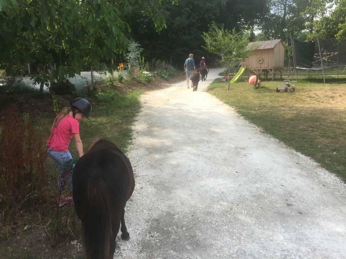 Ecolodge Beauregard Treigny Εξωτερικό φωτογραφία